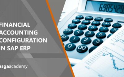 SAP Financial Accounting Configuration in ERP Course
